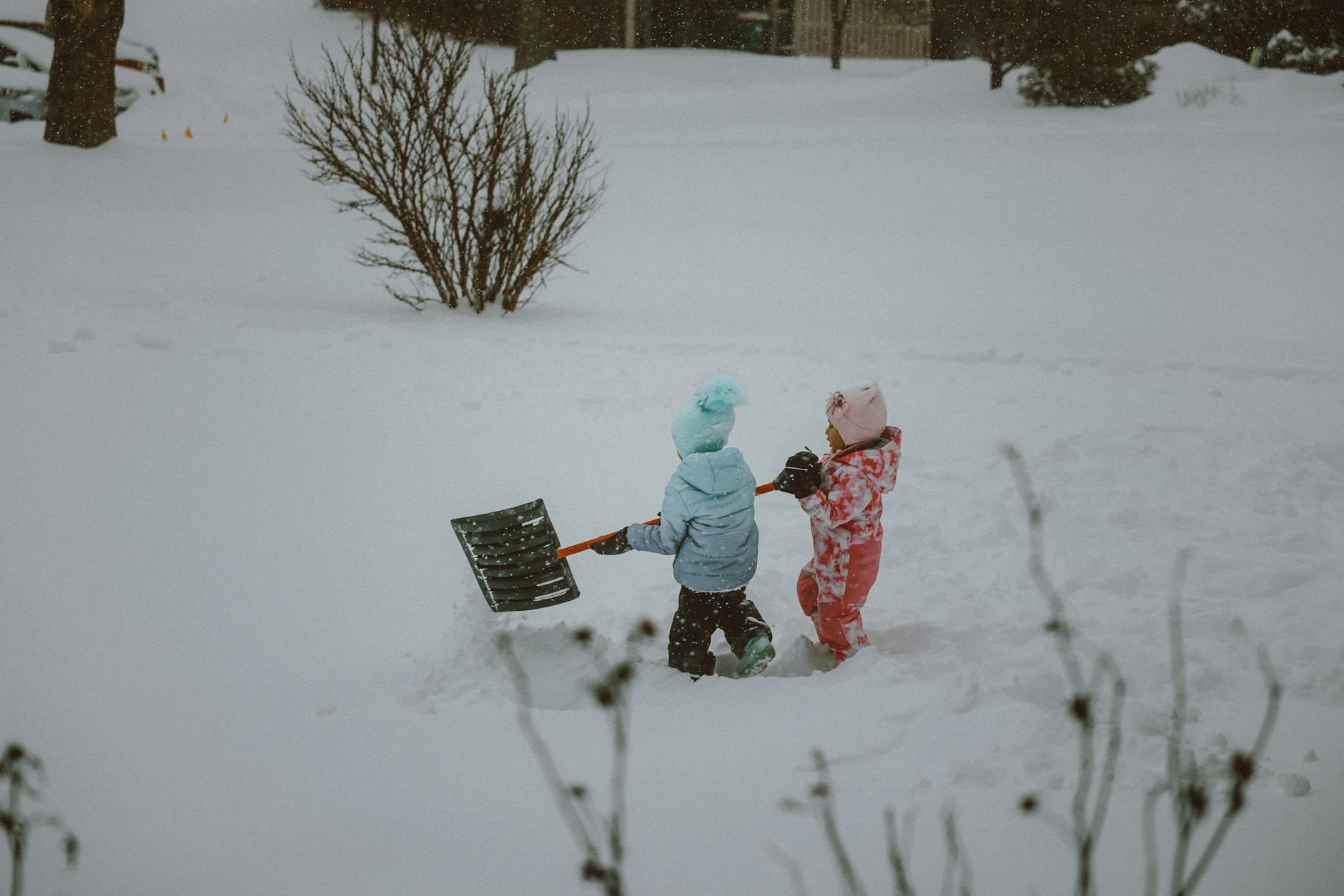 What Are the Best Quiet Outdoor Activities for Families Who Want to Actually Connect With Nature?